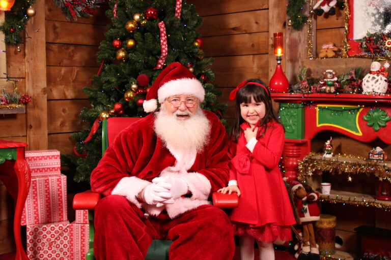 santa experience limerick