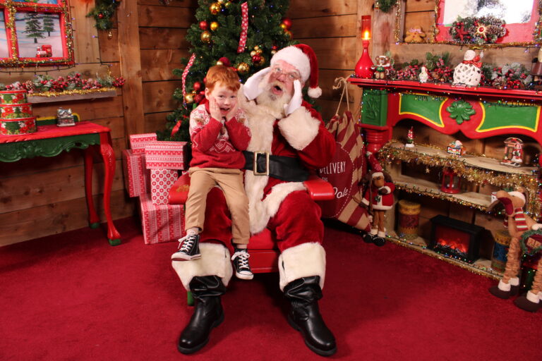 santa experience limerick