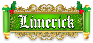 visit santa in limerick at the santa experience santas magical cabin